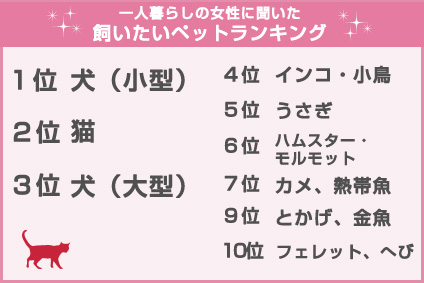 ペット