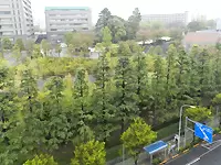 移転したばかりのオフィスの窓からは緑あふれる景色。