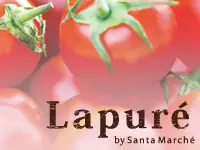 今月末に発売予定の新ブランド「Lapure」。「Santa Marche」に続くブランドにすべく共に成長できます