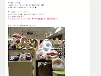 スタッフブログに新入荷アイテムや人気商品の情報を載せるのも仕事の1つ♪