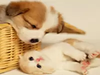 新しい会社だから、働きやすさバツグン！！