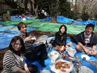 ＜社内イベント＞お花見！季節によっていろいろな社内行事がたくさんあります！