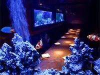 株式会社NOMAD