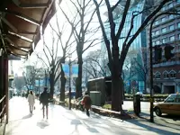通勤にもお買い物にも便利な青山エリアです。会社帰りにショッピングやお食事を楽しめます！