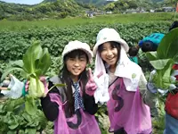 千葉県にある農場で野菜づくり体験。自分達で収穫した野菜の味は格別！