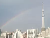 オフィスの窓からはスカイツリーが見える好立地！