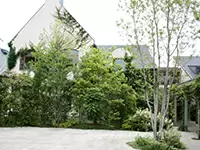 結婚式場は緑豊かな木々に囲まれています。温もりのあるオリジナルウェディングが行われます。
