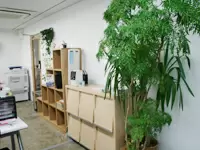 観葉植物やこだわりのインテリアがたくさんのオシャレなオフィス！