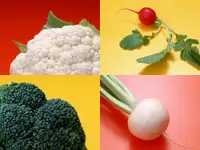 野菜や果物の冷凍食品の包装も提案！身近な商品が商材なんです。