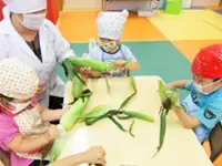 クッキング教室や給食など、食育にも力を入れています。