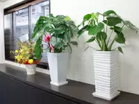 これは応接室。緑のある爽やかな一室があなたをお出迎え♪
