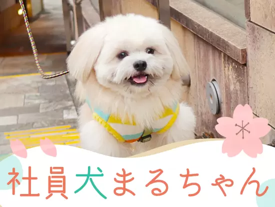 ユキリエの社員を癒す社員犬まるちゃん。現在リモートワーク中！