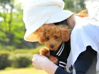 飼い主とペットとの思い出を一生涯残す。弊社はアニマルウェルフェアのICTでのNo.1を目指します。