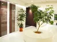 株式会社ネオキャリア 人材紹介事業部