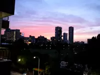 オフィスから見える景色です。目の前は不忍池なのです。
