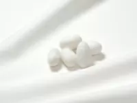 世界初である雄だけの蚕『プラチナボーイ』。繭からオリジナルの着物を作っています