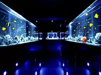 あなたのアイデア次第で、会社そのものを変えていくこともできますよ。