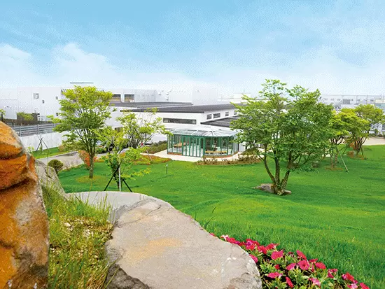 ほぼ全ての商品を北海道苫小牧市の自社工場で生産することで、安全性と低価格を同時に実現しています。