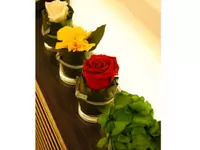 お客様に少しでもリラックス出来る空間を与えられる様に季節に合わせたお花を☆