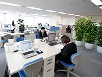 オフィスにはグリーンもあり、広々としたスペースです。