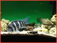 社内にはキレイな水槽に可愛い魚が♪癒しの空間です。