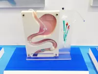シリコンカテーテルの分野ではシェアNO.1を獲得中！