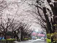 桜並木で有名なかむろ坂に程近い立地