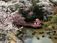 原宿という街の中で、日本の美しい四季を刻み続ける杜の中が、私たちの職場です。