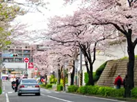 「青葉台駅」より徒歩1分の好立地♪地域密着型の法律事務所です。