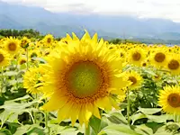のどかな街並みと、家族のようなあたたかいスタッフが、あなたをお待ちしています！