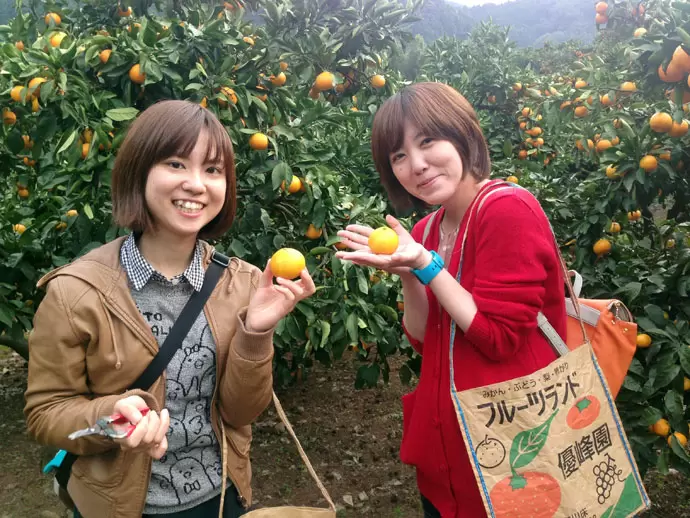 社員旅行は年1回、その他、みかん狩りやさくらんぼ狩りなど、楽しいイベントも盛りだくさん。