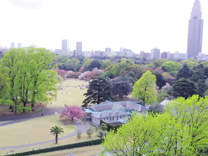 当社オフィスから見える新宿御苑の景色