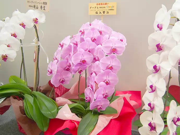 会社設立時にはGoogleからお花をいただきました。信頼関係がしっかり築かれていることが、当社の強みです。