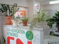 社内の色んなところにある観葉植物は、癒しをくれるやさしい存在