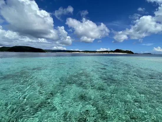 出張先でのひとときの休暇–沖縄慶良間諸島座間味島への日帰り小旅行風景♪