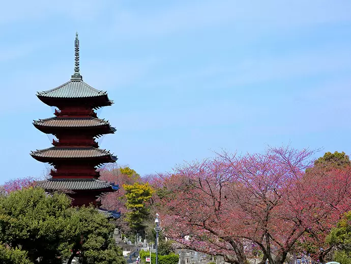 寺院の抱える様々な悩みを、当社の提案力で解決しています
