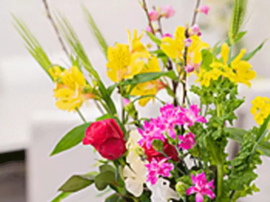 常に生花を生けて、花のある環境を目指しています。植物も多くマイナスイオンたっぷり。