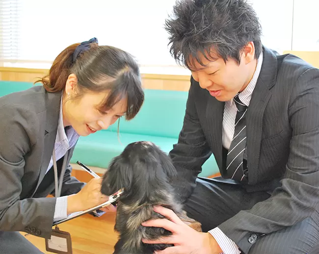 ペットとの触れ合いもお仕事の一つです♪ペット好きにはたまらない「心休まるひと時」です。