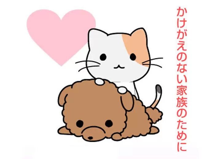 安定した経営基盤をもとに飛躍を続けていきます！