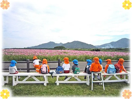 都心にある保育園ですが、近隣には公園も多く自然に触れる機会もたくさんあります。