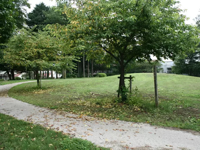 敷地内の中央公園です！！天気のいい日には利用者が散歩したりひなたぼっこしたりします！