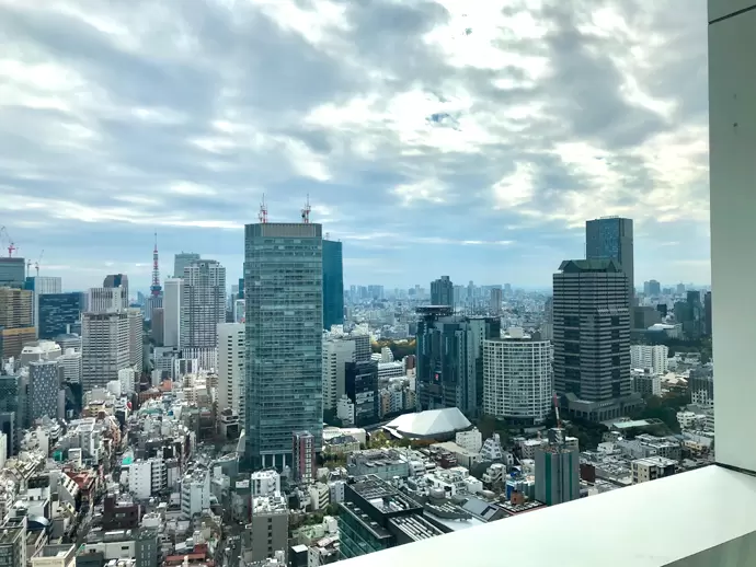 オフィスからは霞ヶ関や赤坂、虎ノ門エリアまで一望できる絶景◎で落ち着いた空間です。