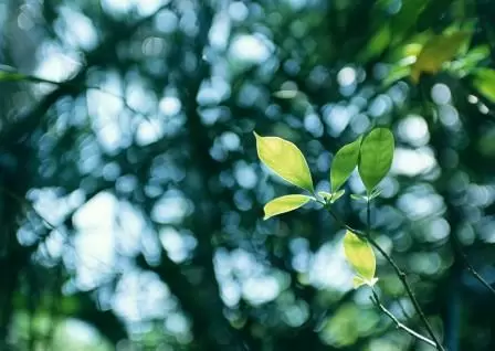 四季折々の花植物が楽しめます。夜には庭園もライトアップされきれいですよ♪