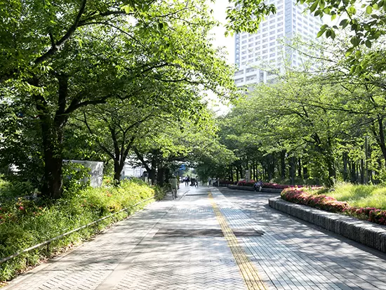 本社は川崎／京急川崎駅より綺麗な並木道を通って通勤できます。