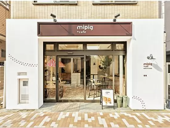 日本初のマイクロブタカフェ「 mipig cafe 」 を運営。