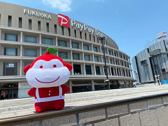 社員だけでなく、社内も明るい雰囲気です♪
