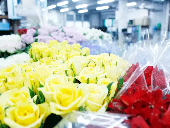 花のプロとして　心を打つ働きを