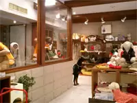 ペットの総本山駒沢公園横の駒沢公園店のおしゃれな店内