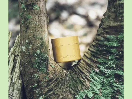 植物療法を活かした製品は、幅広い年齢層のお客様にご愛用いただいています。