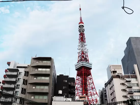 保育園からは日本のシンボルであるタワーが一望できます！お散歩では増上寺付近までいくことも！
